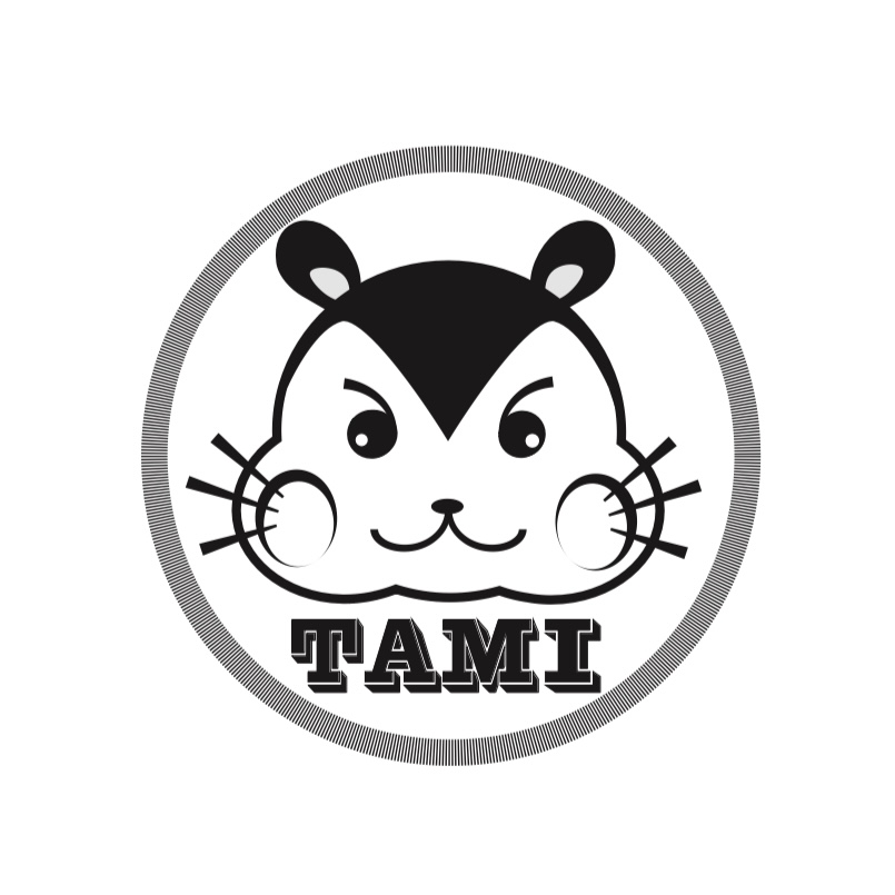 丽水市塔米书画培训有限公司