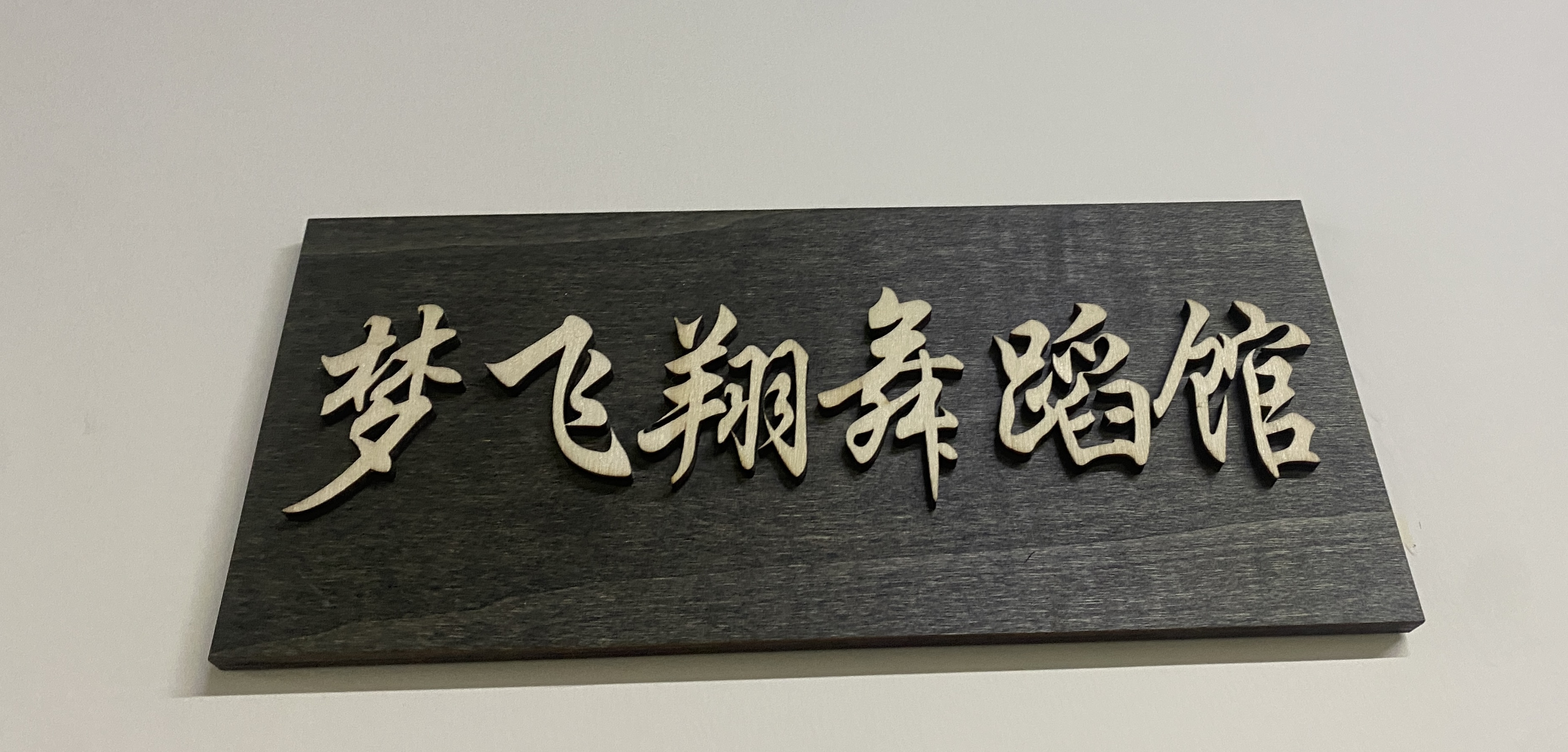 天津梦飞翔艺术培训学校有限公司