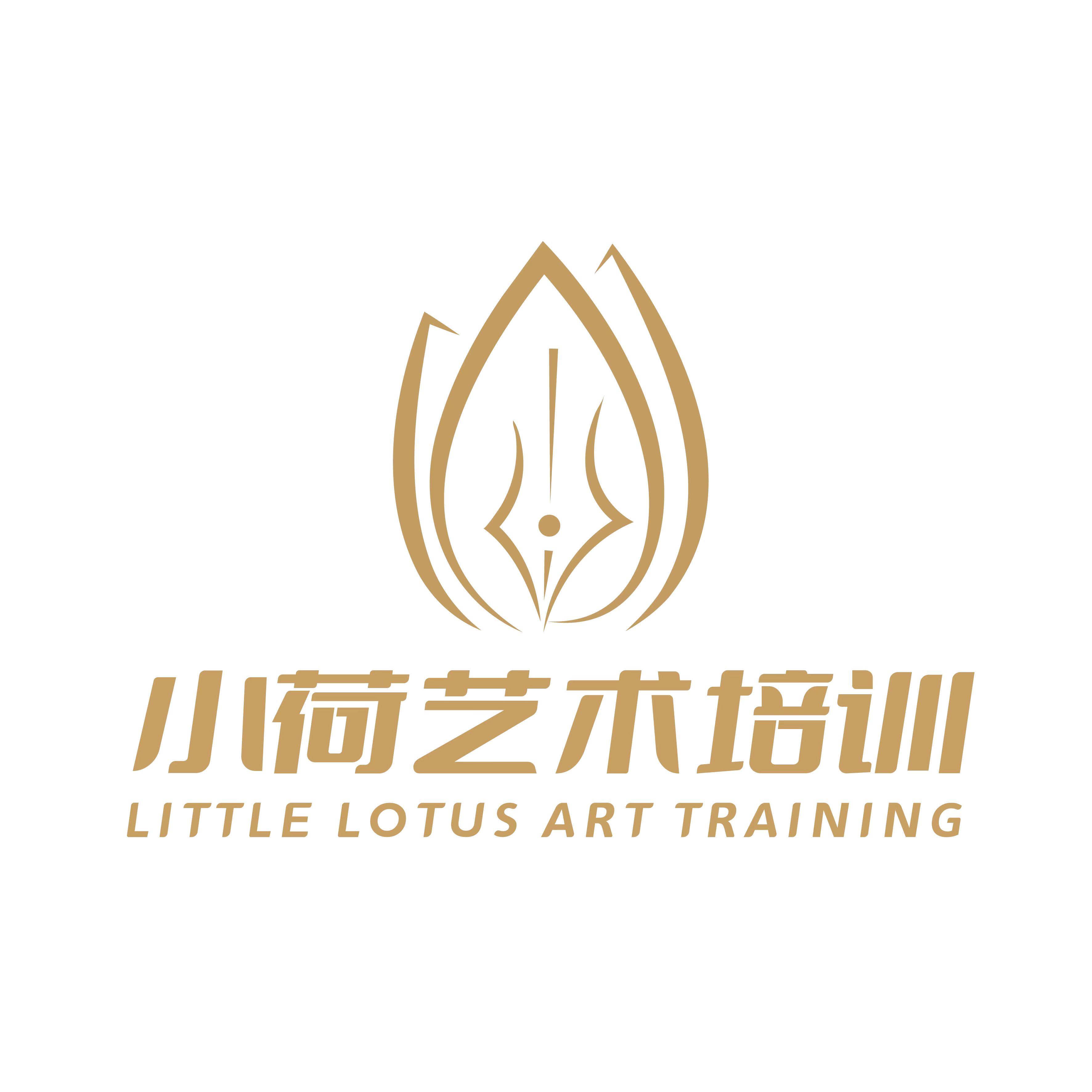 信宜市小荷艺术培训有限公司