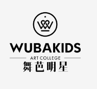 珠海市金湾区舞芭童星综合教育培训中心有限公司