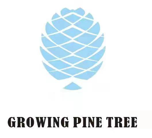 石嘴山市松沐文化传播有限公司