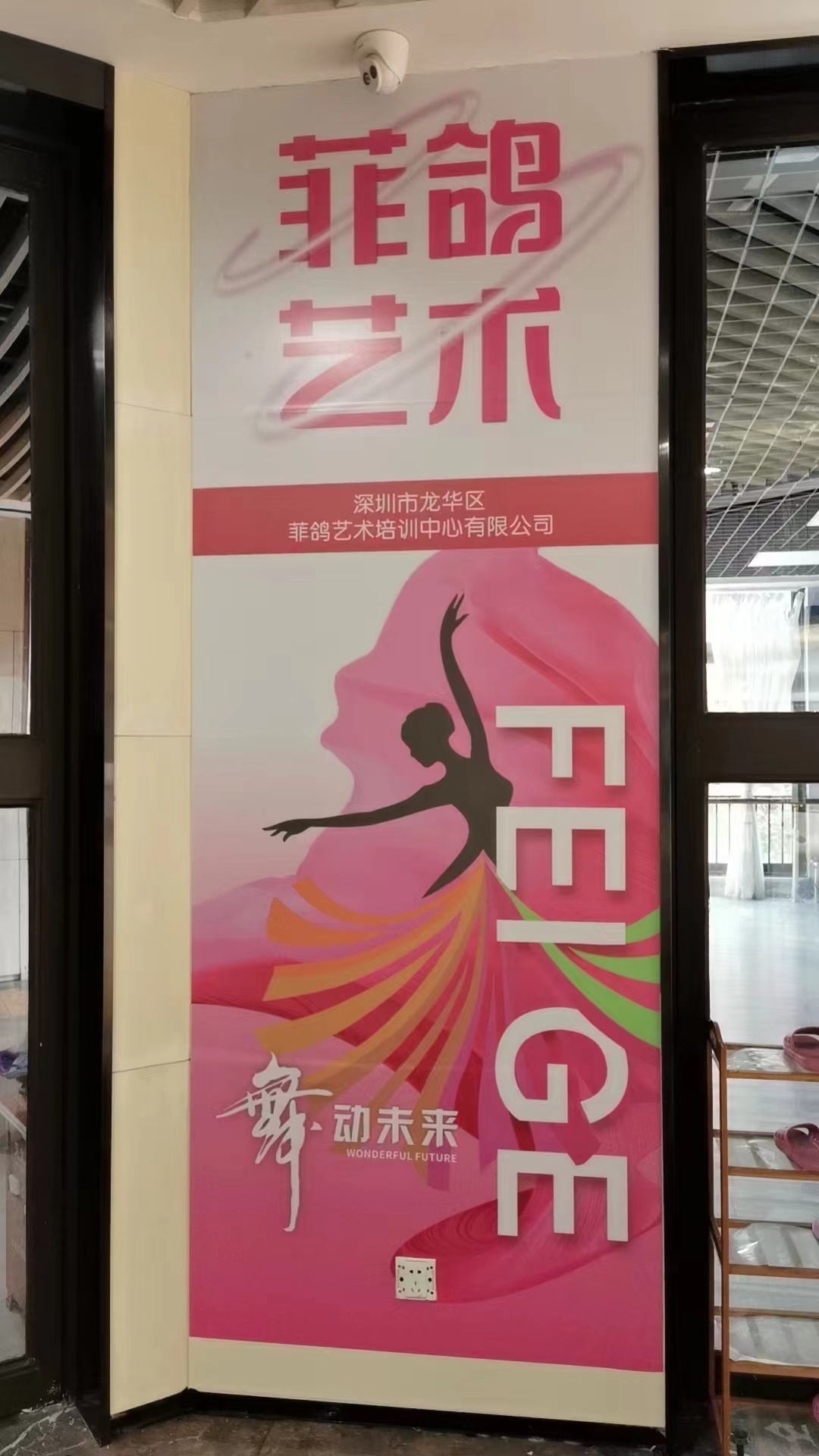 深圳市龙华区菲鸽艺术培训中心有限公司