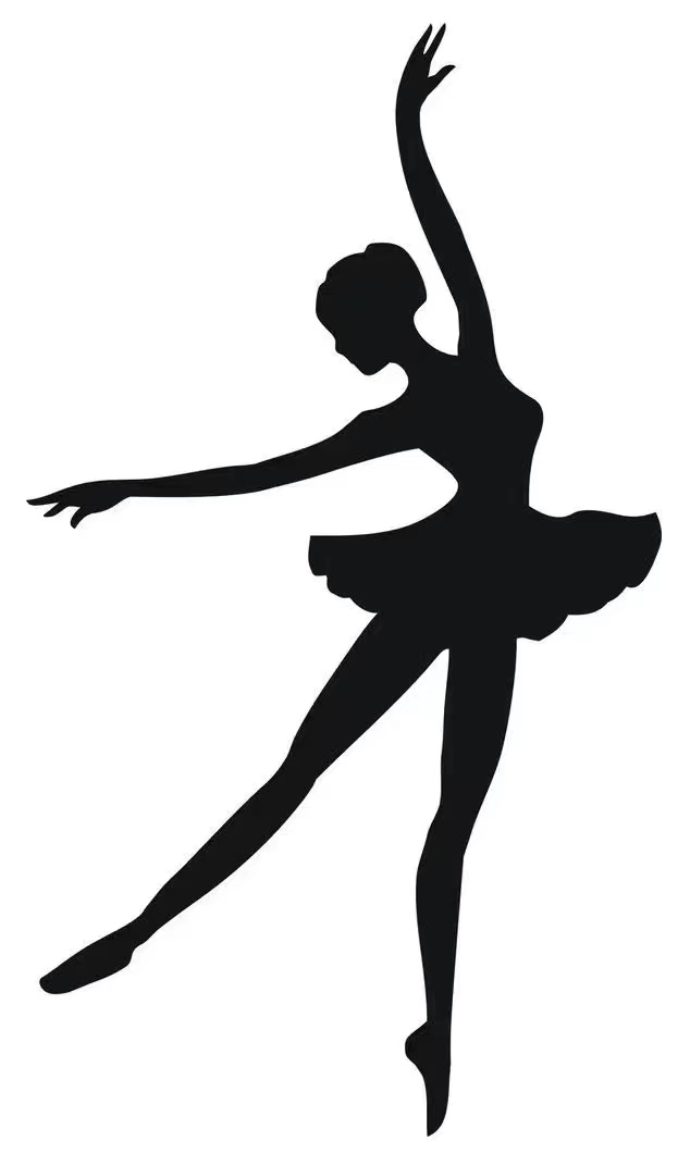 临武县新苗艺术培训学校有限公司