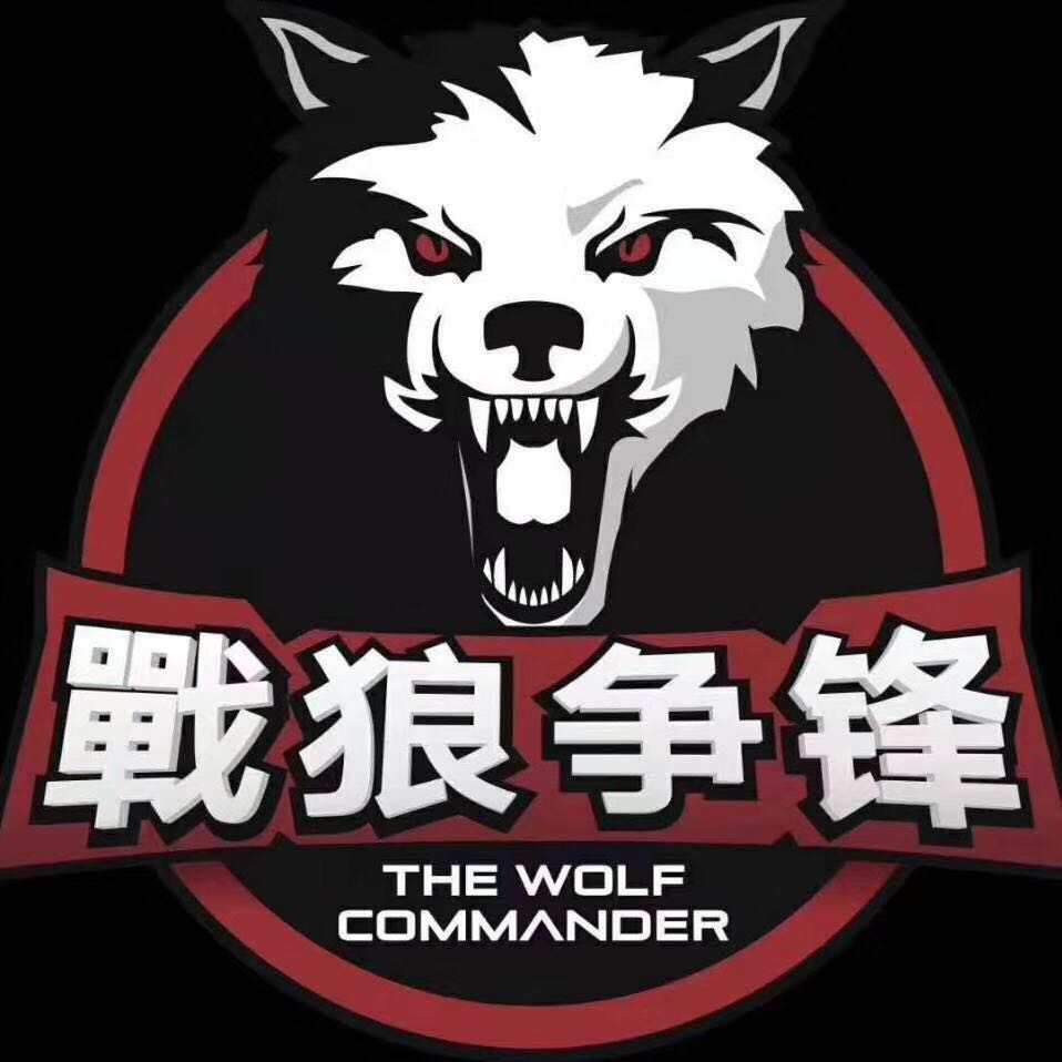 新疆战狼争锋搏击培训中心