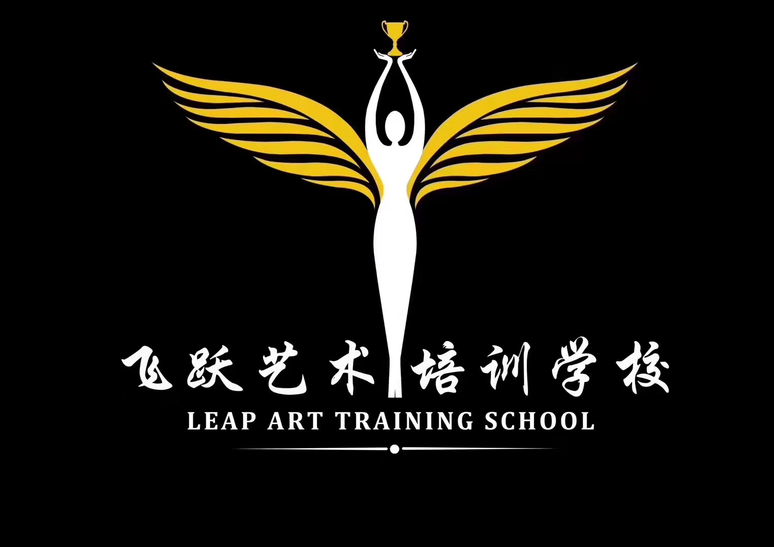 佛山市南海区飞航艺术培训有限公司