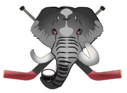 北京京南荣耀体育发展有限公司