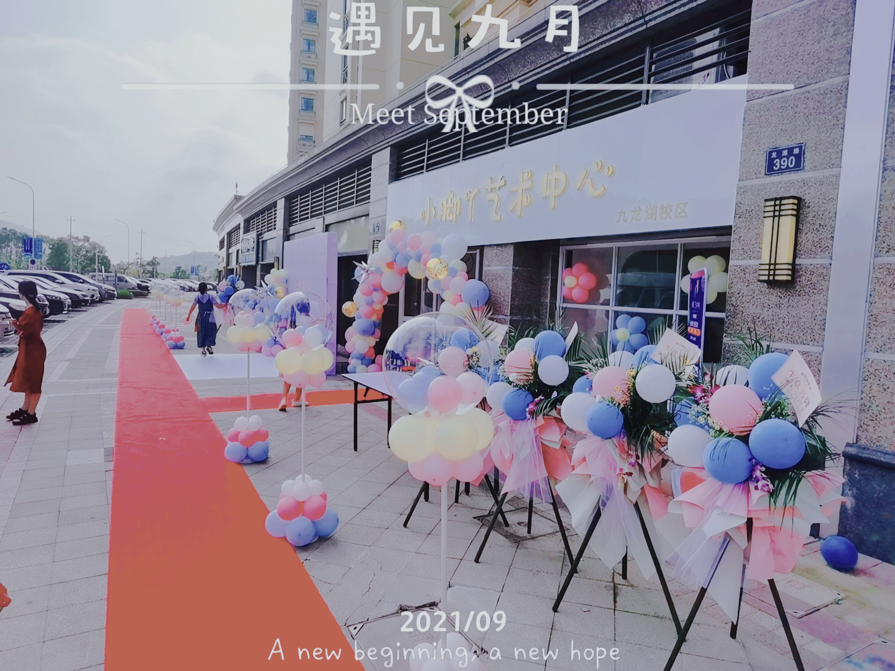 宁波蕾秀艺术特长培训有限公司