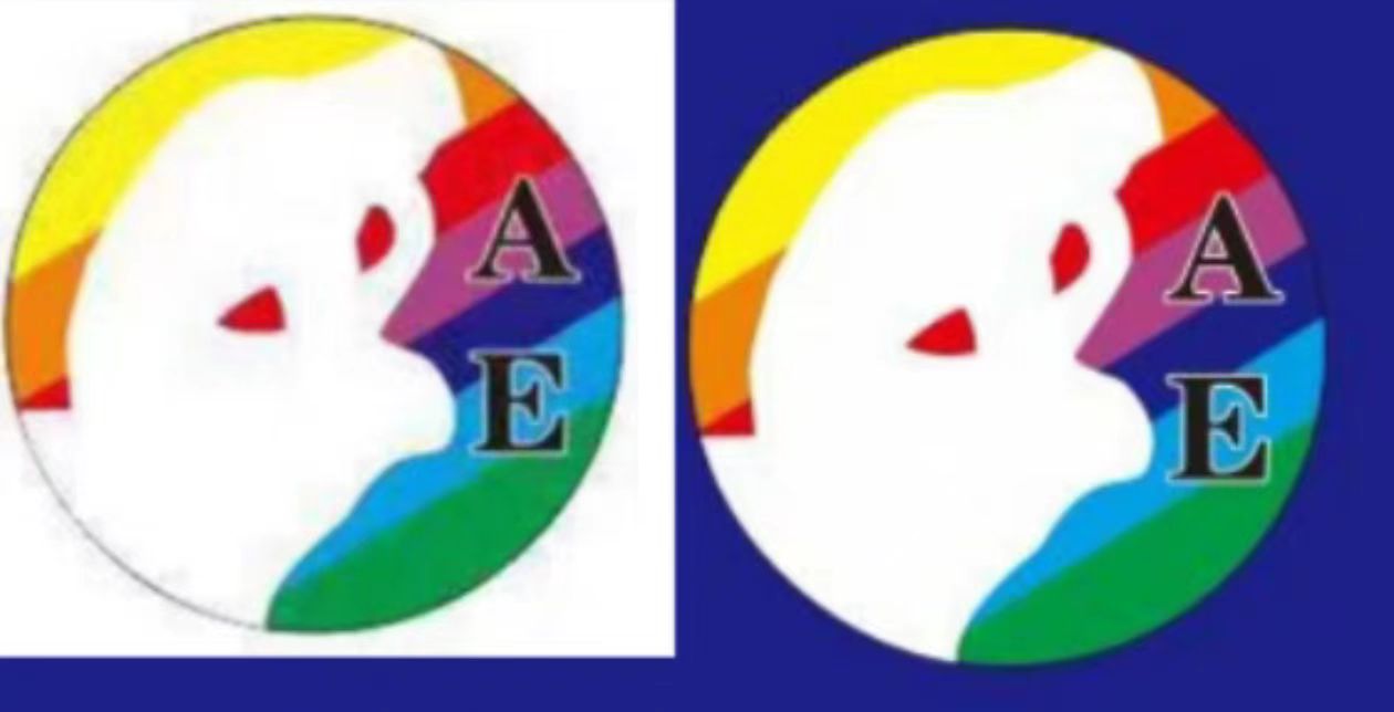 沅江市艾伯教育培训学校有限公司