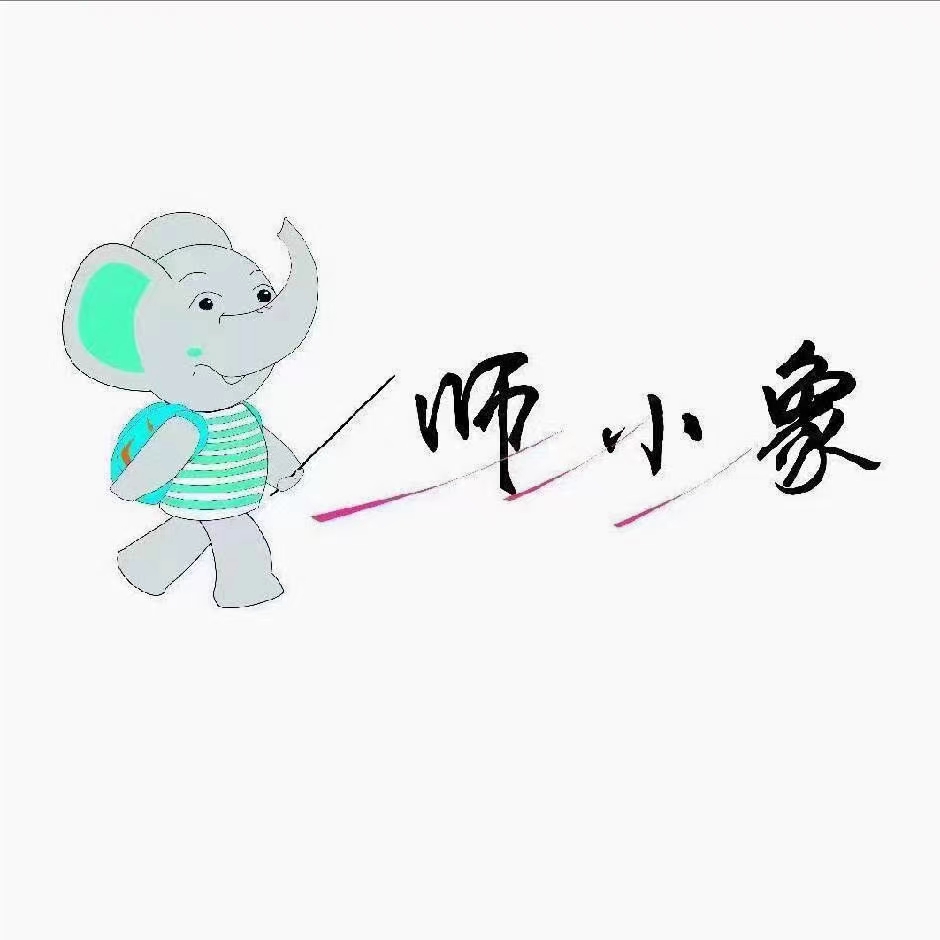 嵩明县嵩阳街道师小象艺术培训学校有限公司