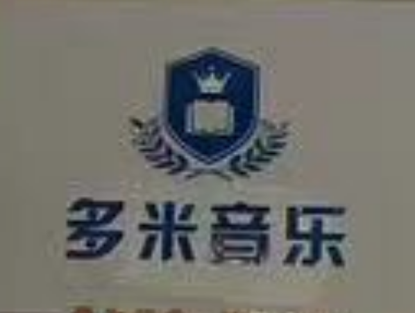 郑州市巩义市多米音乐培训有限公司