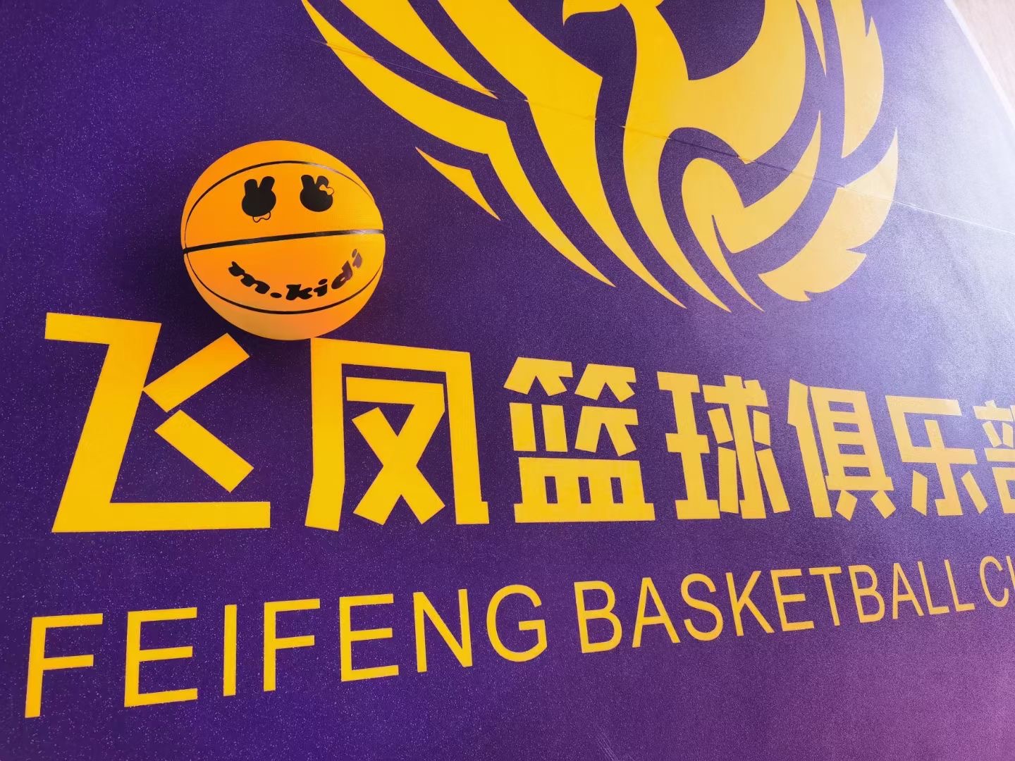 永康市飞凤体育培训有限公司