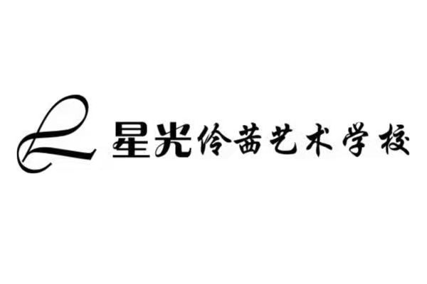 成都市新都区大丰街道星光伶茜艺术培训学校有限公司