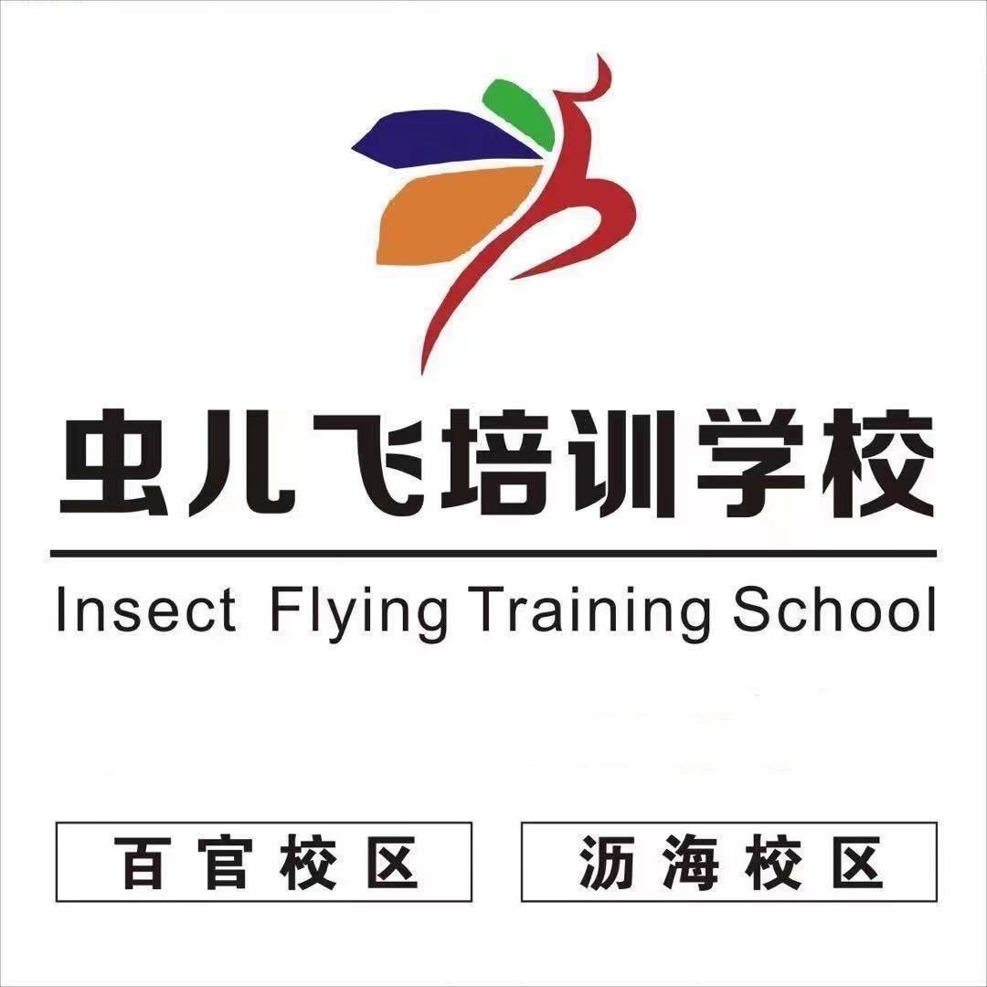 绍兴市上虞区虫儿飞艺术培训有限公司