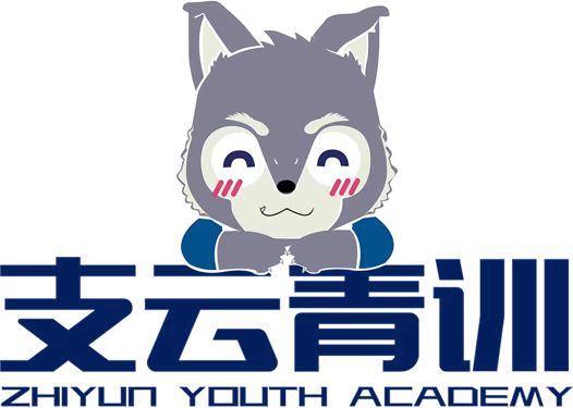 南通市崇川区支云足球培训中心有限公司