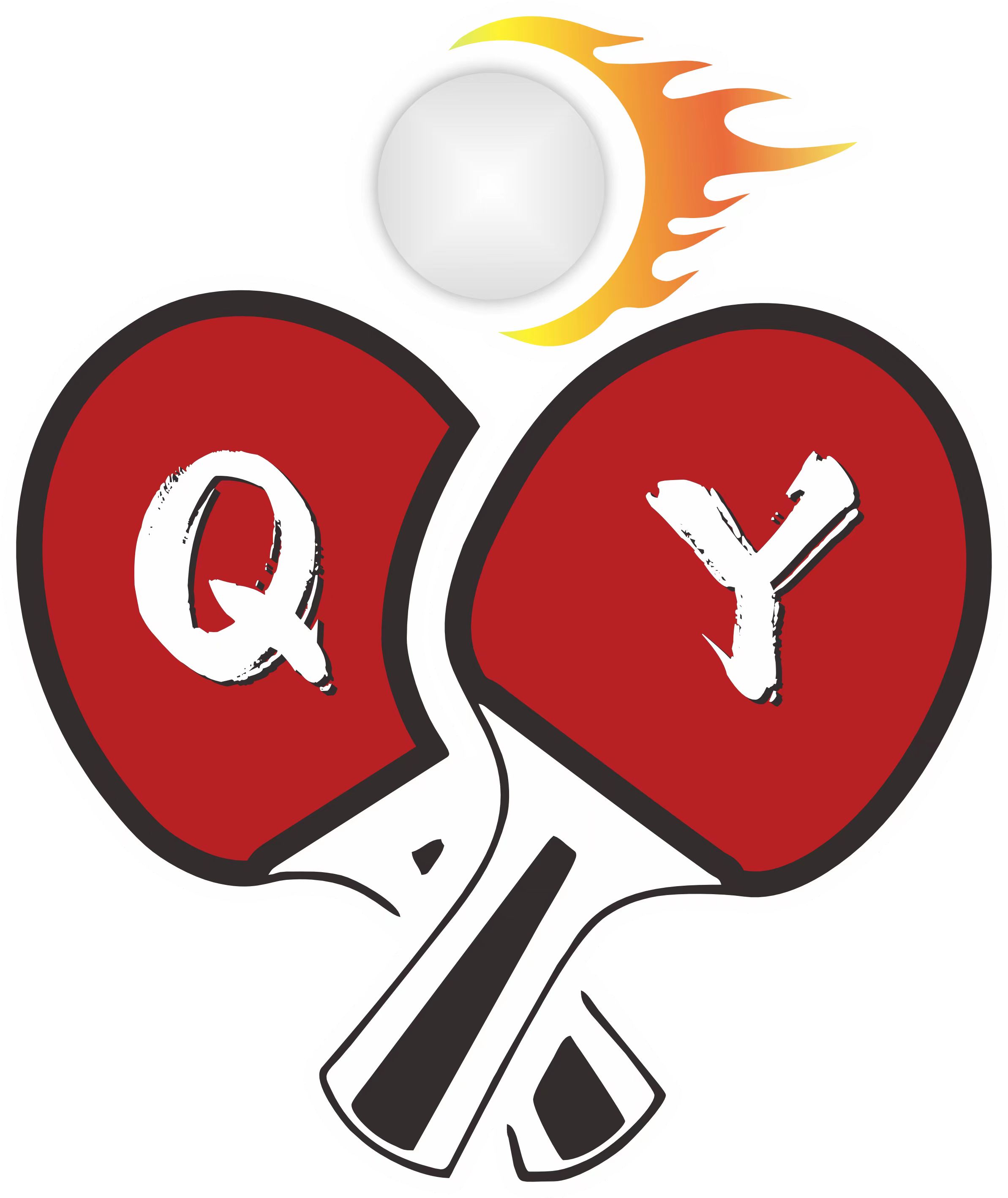 天津市启扬体育培训学校有限公司