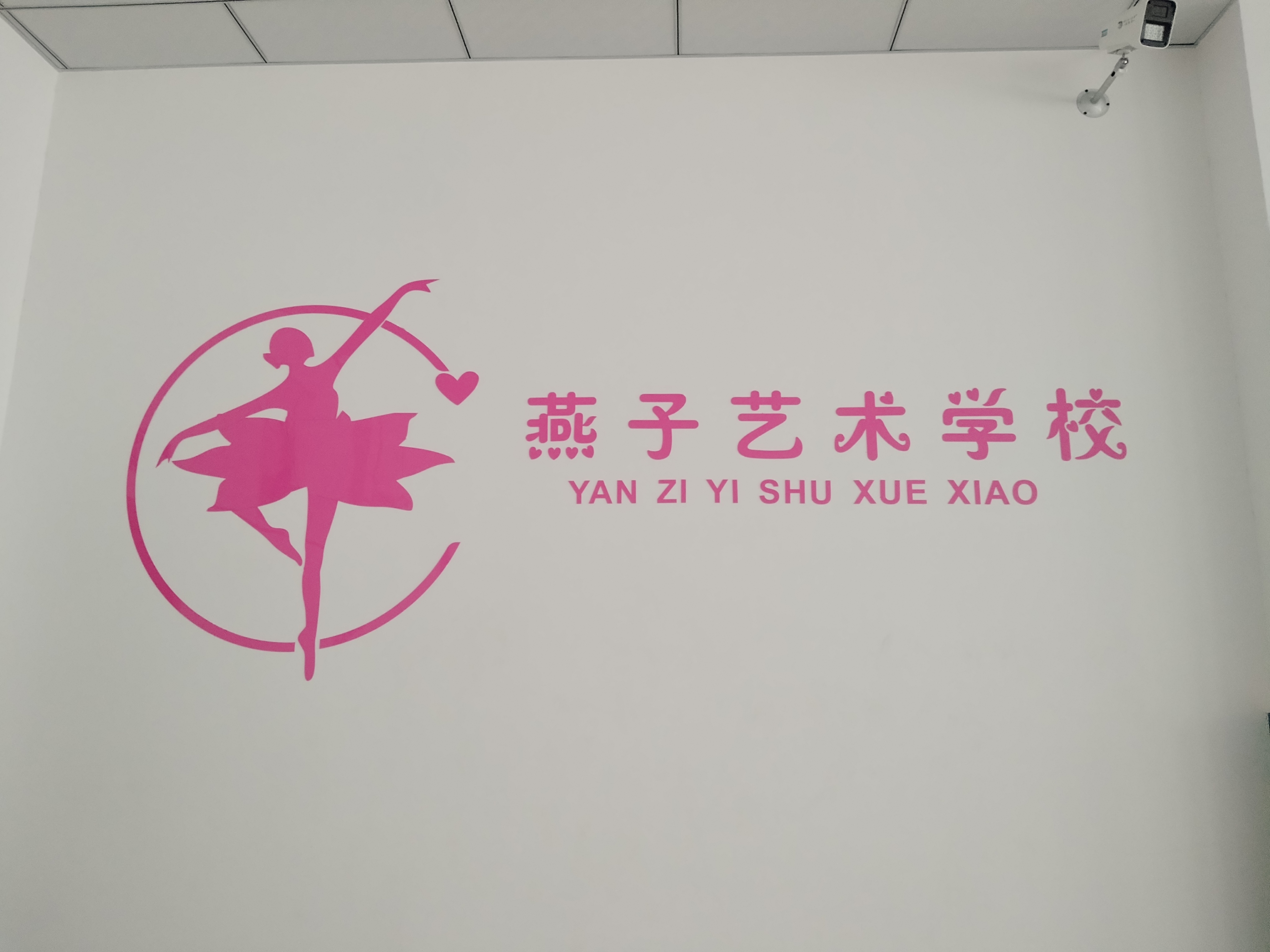 邵阳市双清区燕子艺术培训学校有限公司