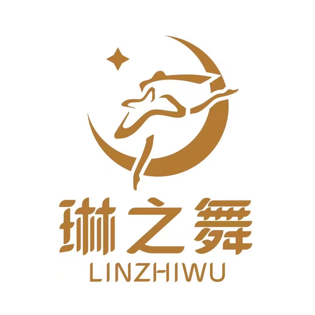 枣阳市琳之舞艺术培训学校有限公司