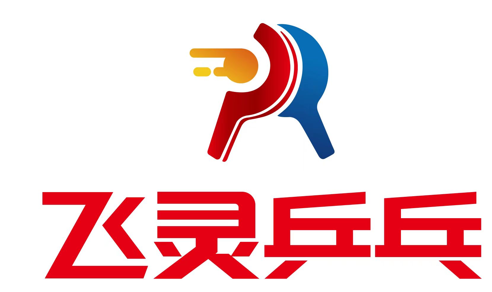 重庆市开州区飞灵体育培训有限公司