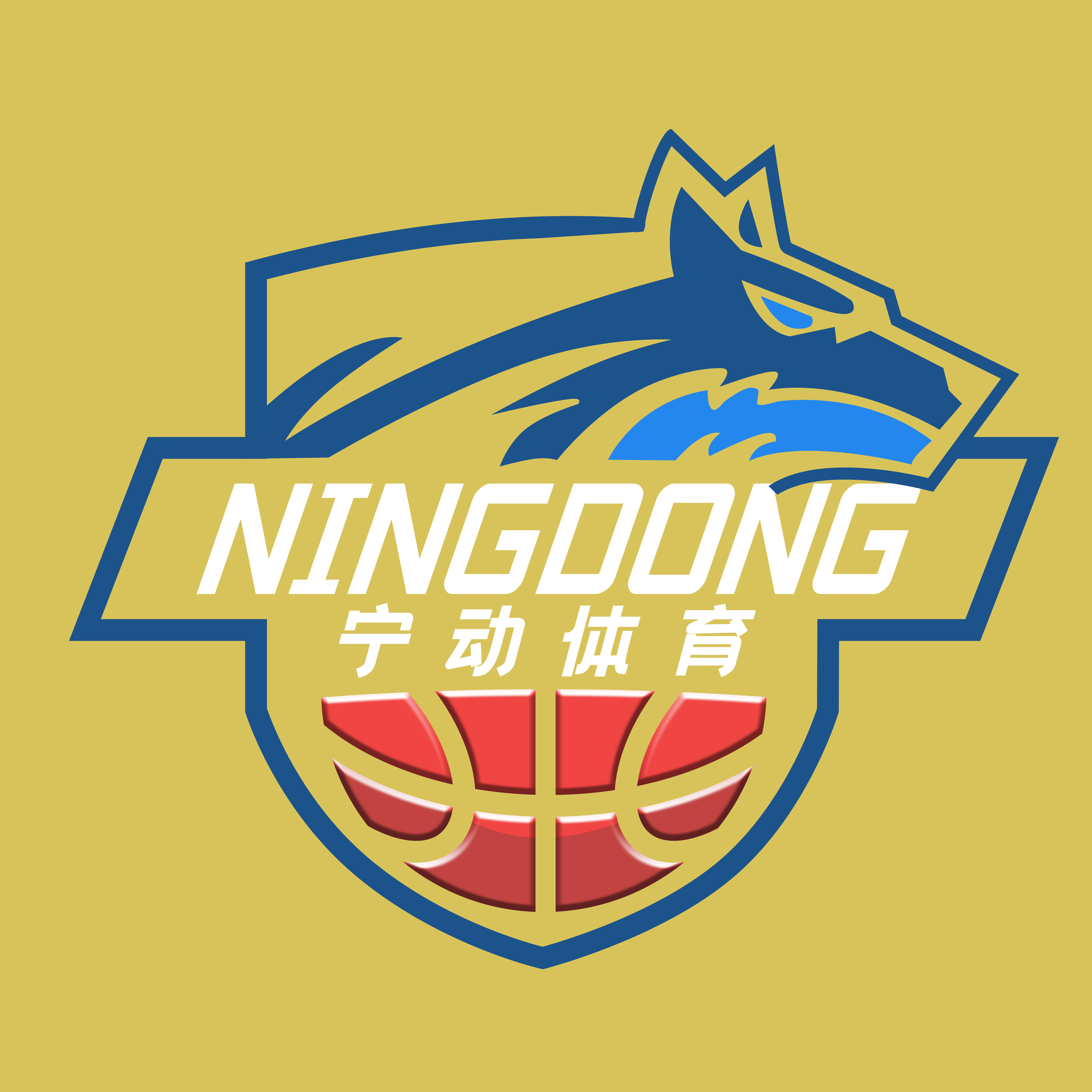 宁国市宁动青少年篮球培训学校有限公司