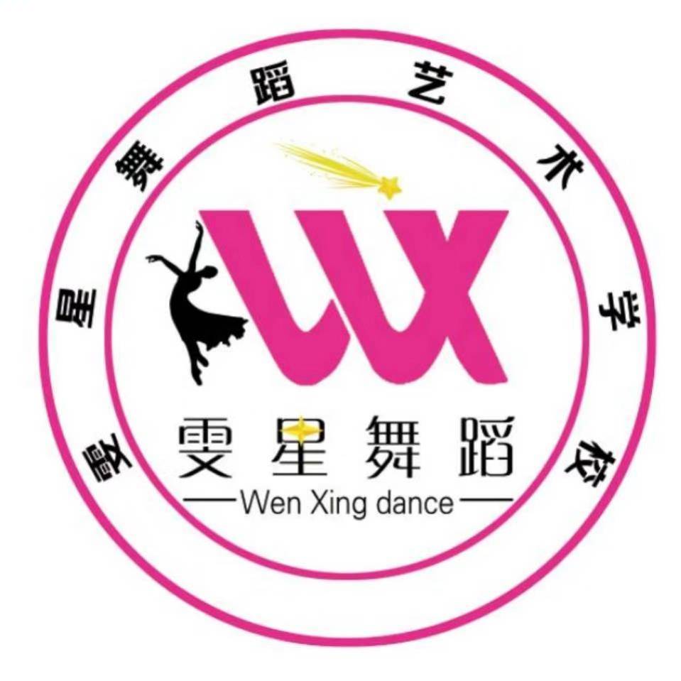 庄浪雯之星艺术培训有限公司