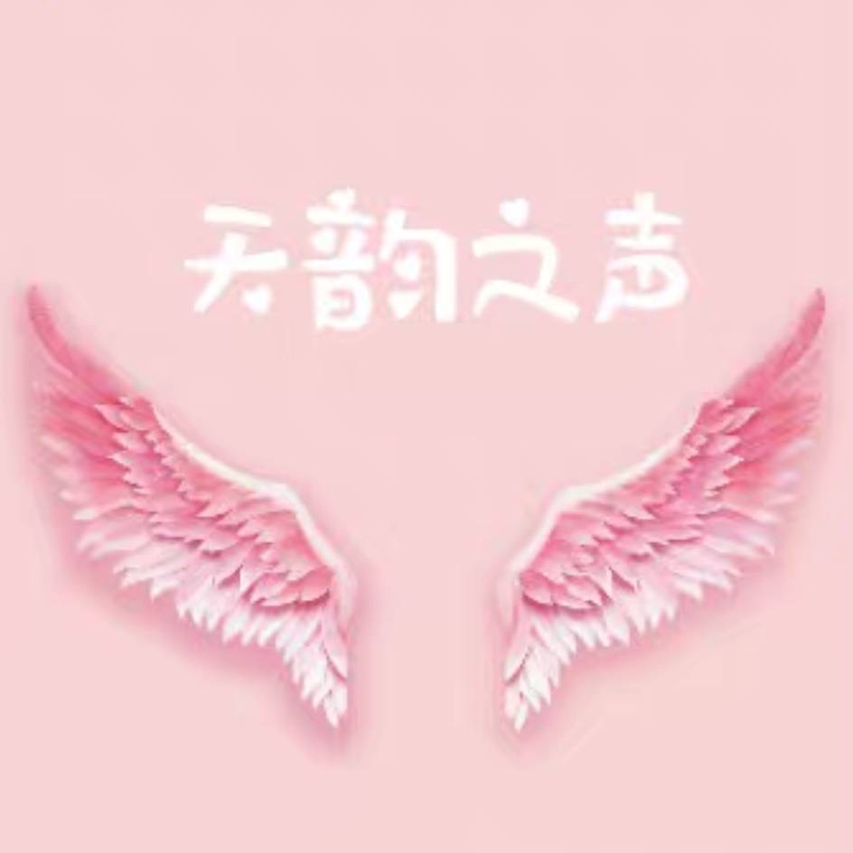 海南天韵之声培训中心有限公司