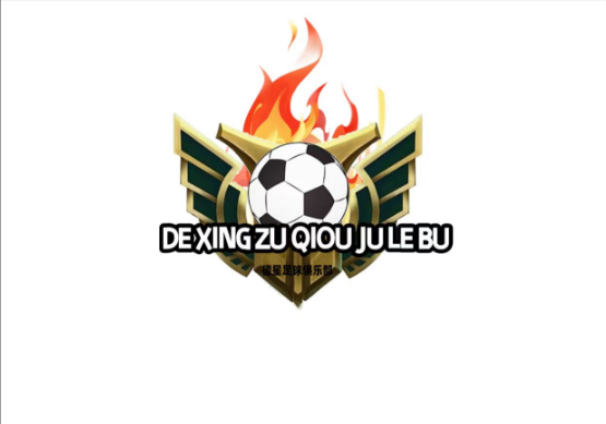 百色德星足球俱乐部有限公司