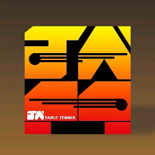 重庆丁火体育培训有限公司