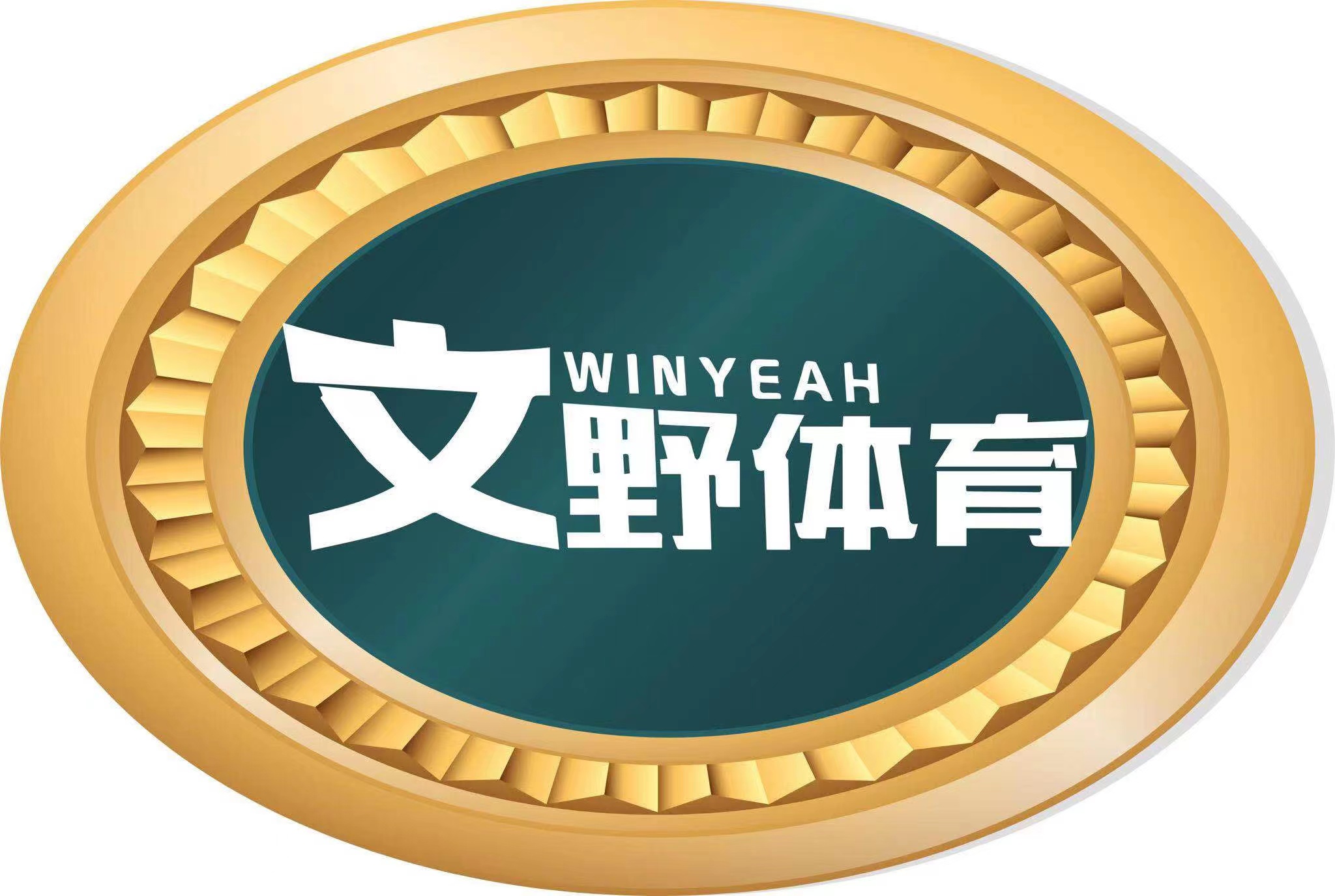 芜湖市弋江区文野体育培训中心有限公司