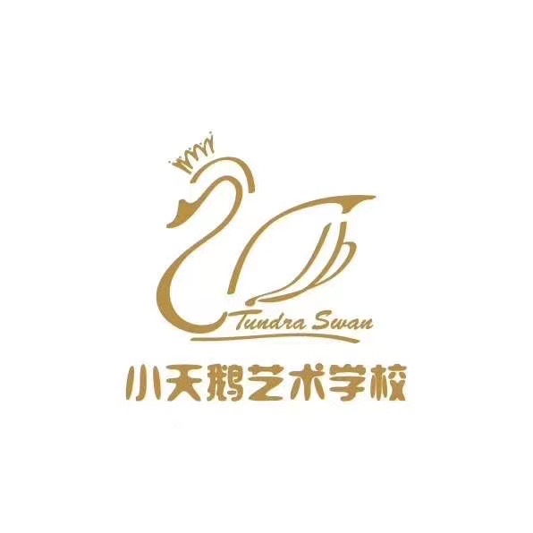 修水县朵拉艺术培训中心有限公司