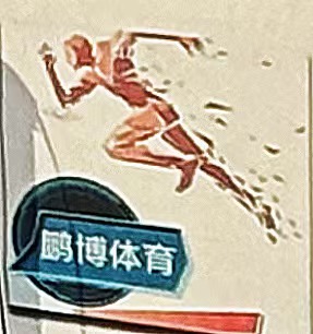 开鲁县鹏博体育培训有限公司