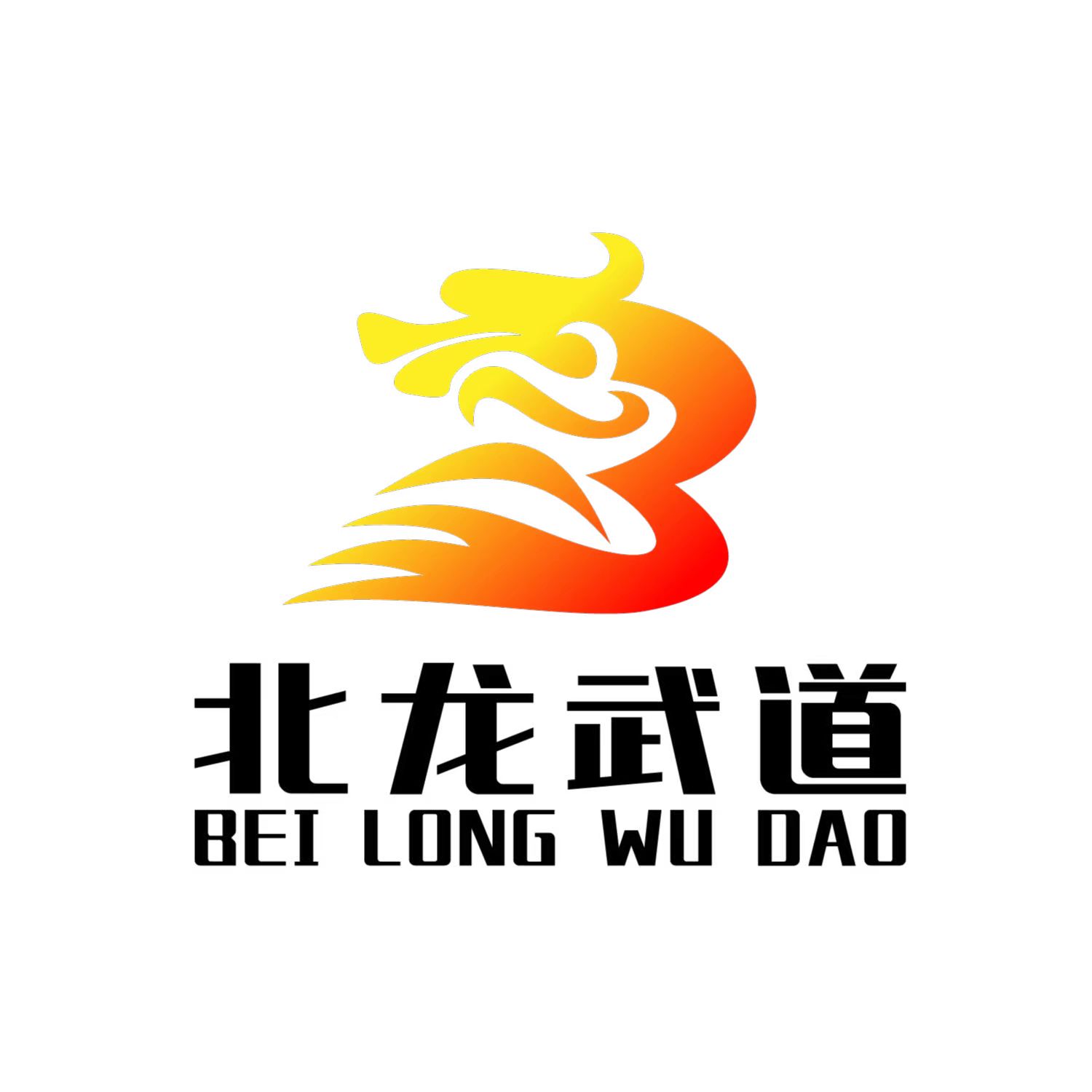 天津市北华圣龙体育培训学校有限公司