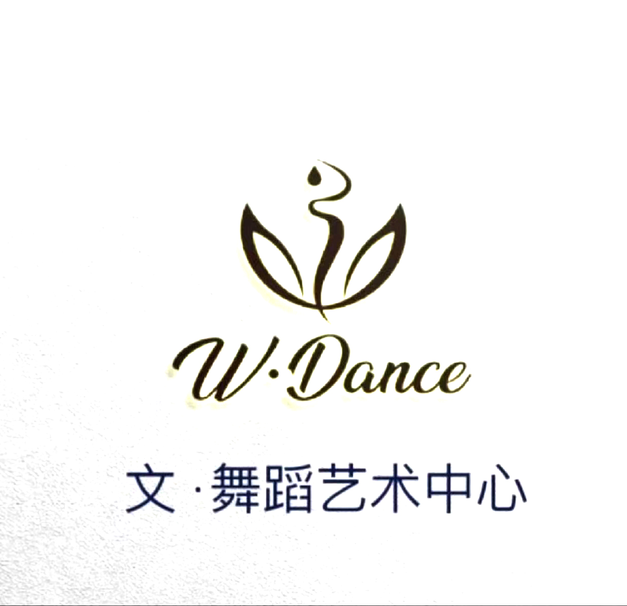 鄂尔多斯市东胜区文舞舞蹈艺术培训有限公司