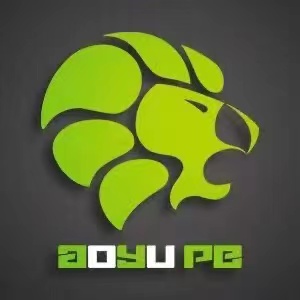 天津奥宇体育培训学校有限公司