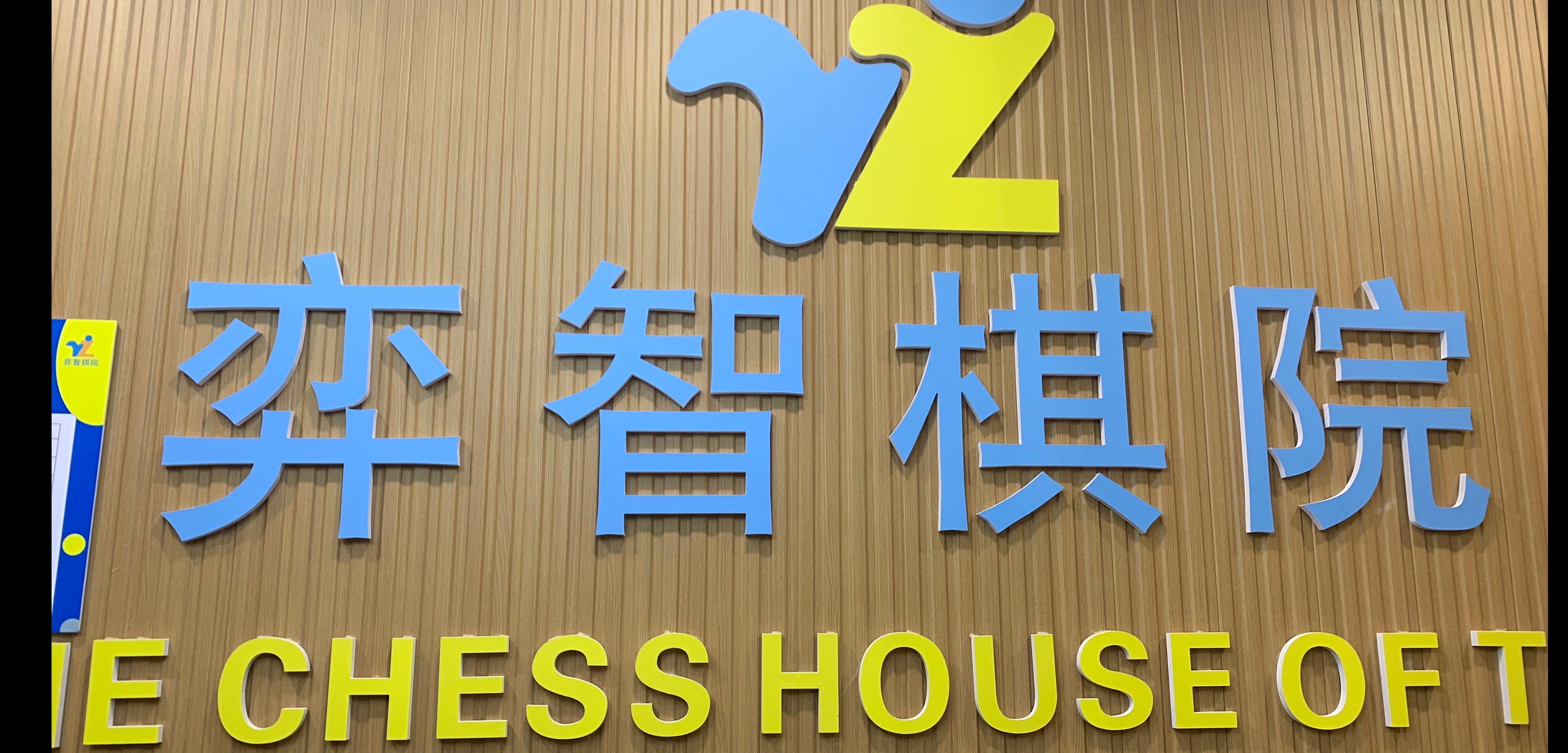 嵊州市弈智艺术培训有限公司