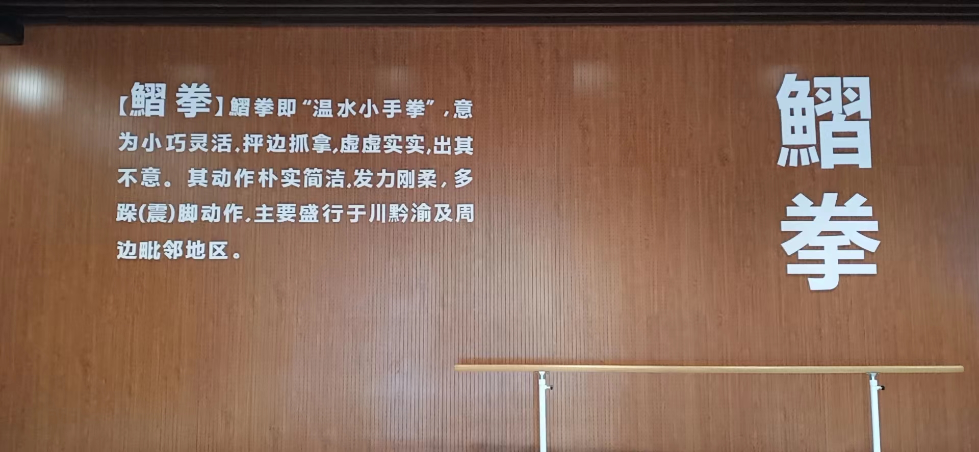 习水县习拳武术培训学校有限公司