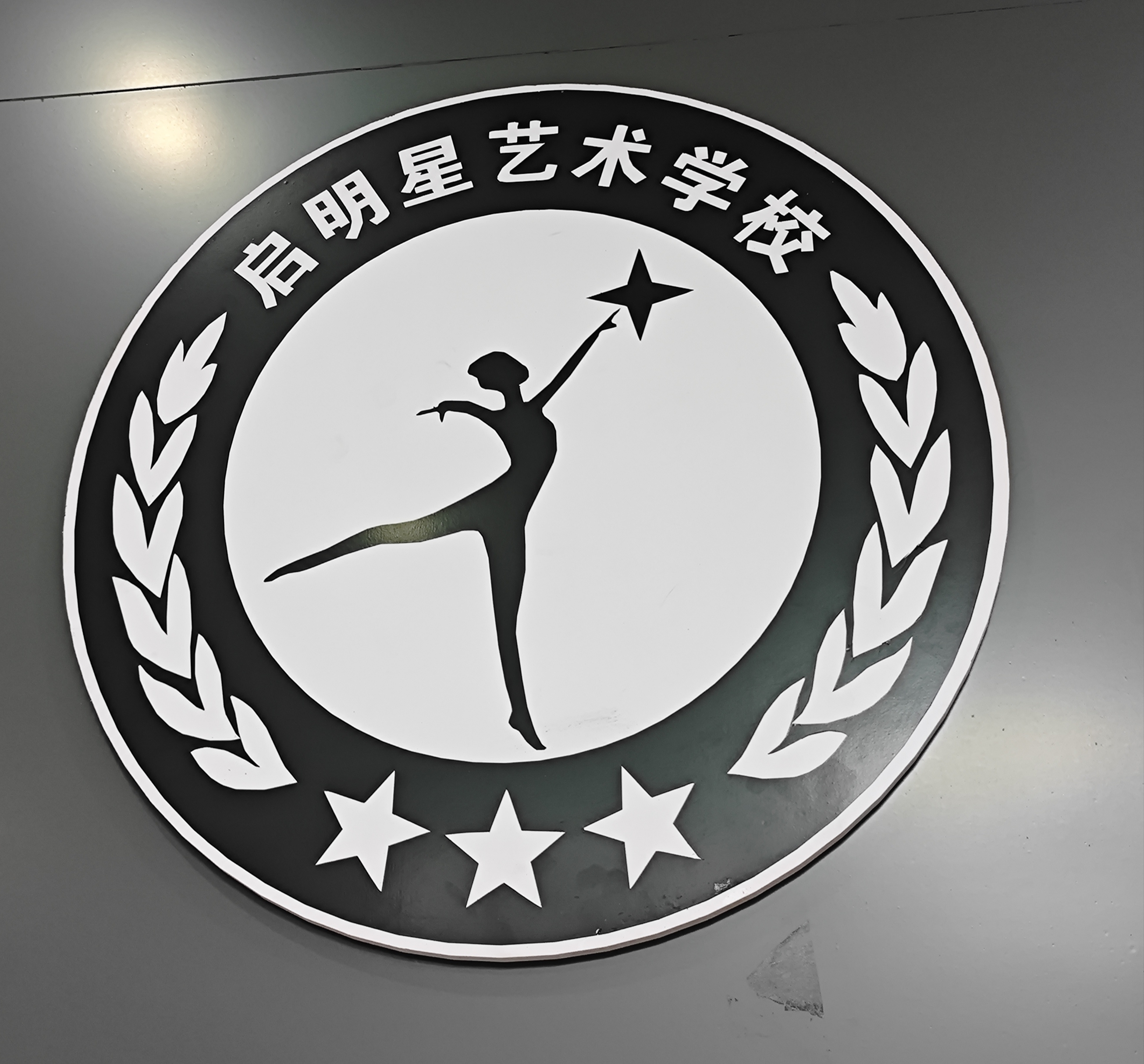 宜丰县星启艺艺术培训中心有限公司