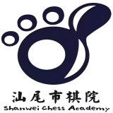 汕尾市善美棋童教育培训有限公司