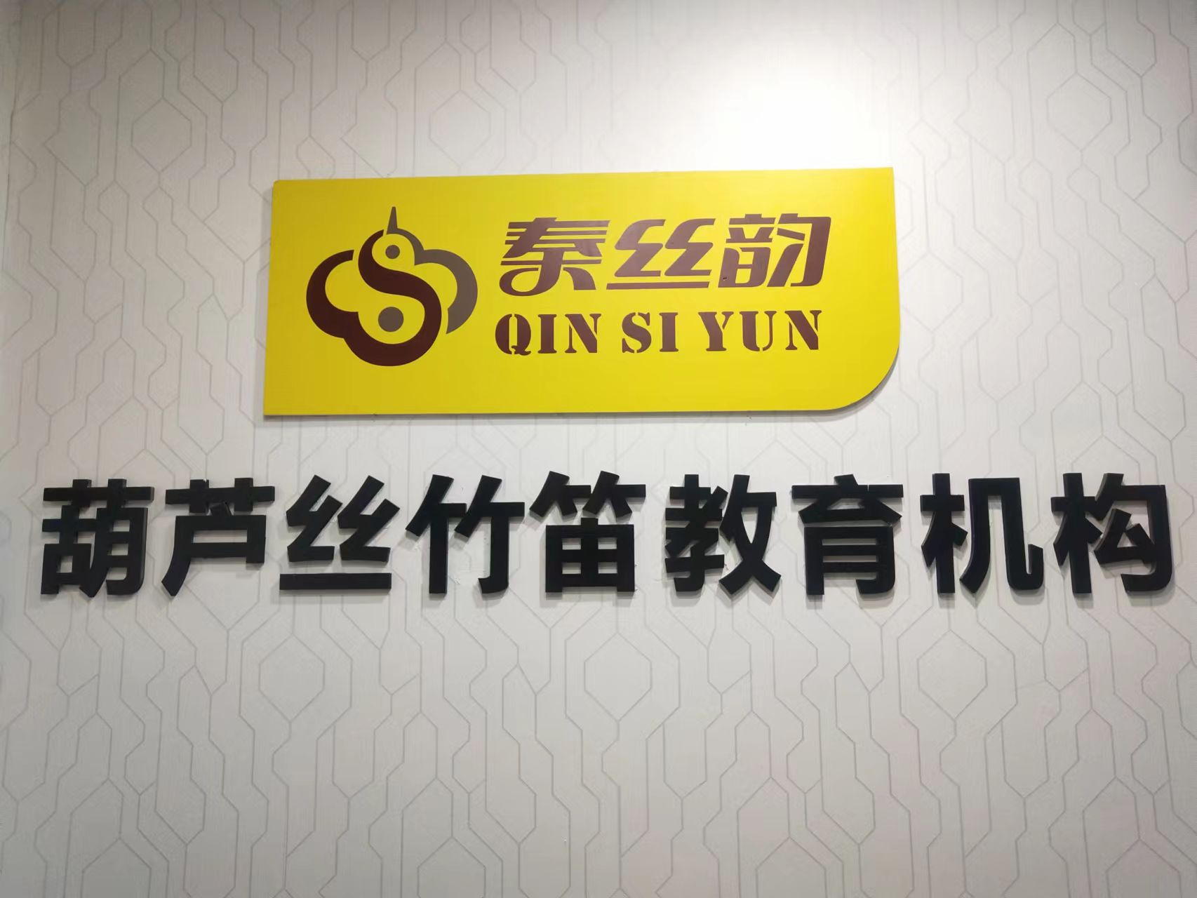 秦安县秦丝韵艺术培训有限责任公司