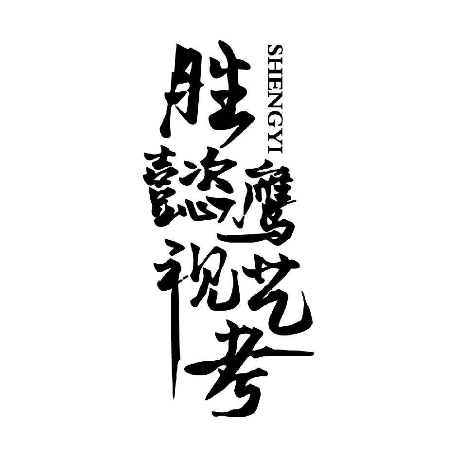 平顶山市新华区胜懿鹰视艺术培训有限公司