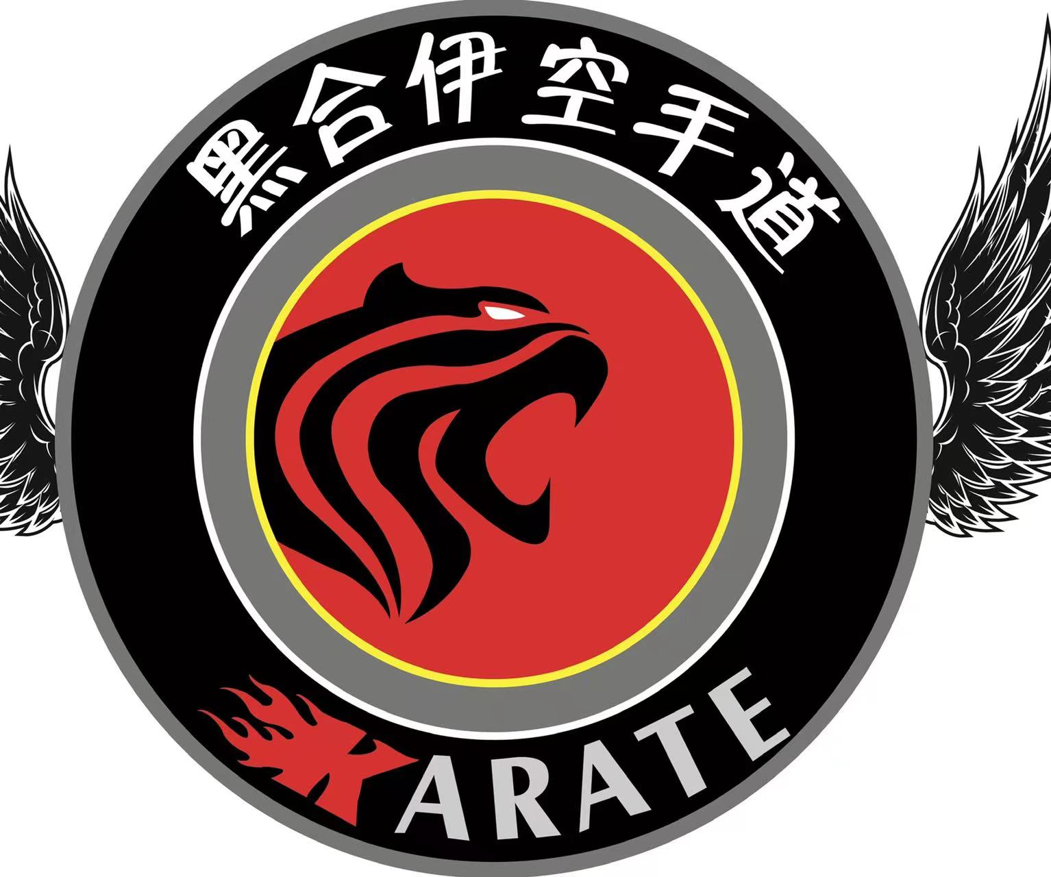 宜昌高新区嘿哈咿体育培训有限公司