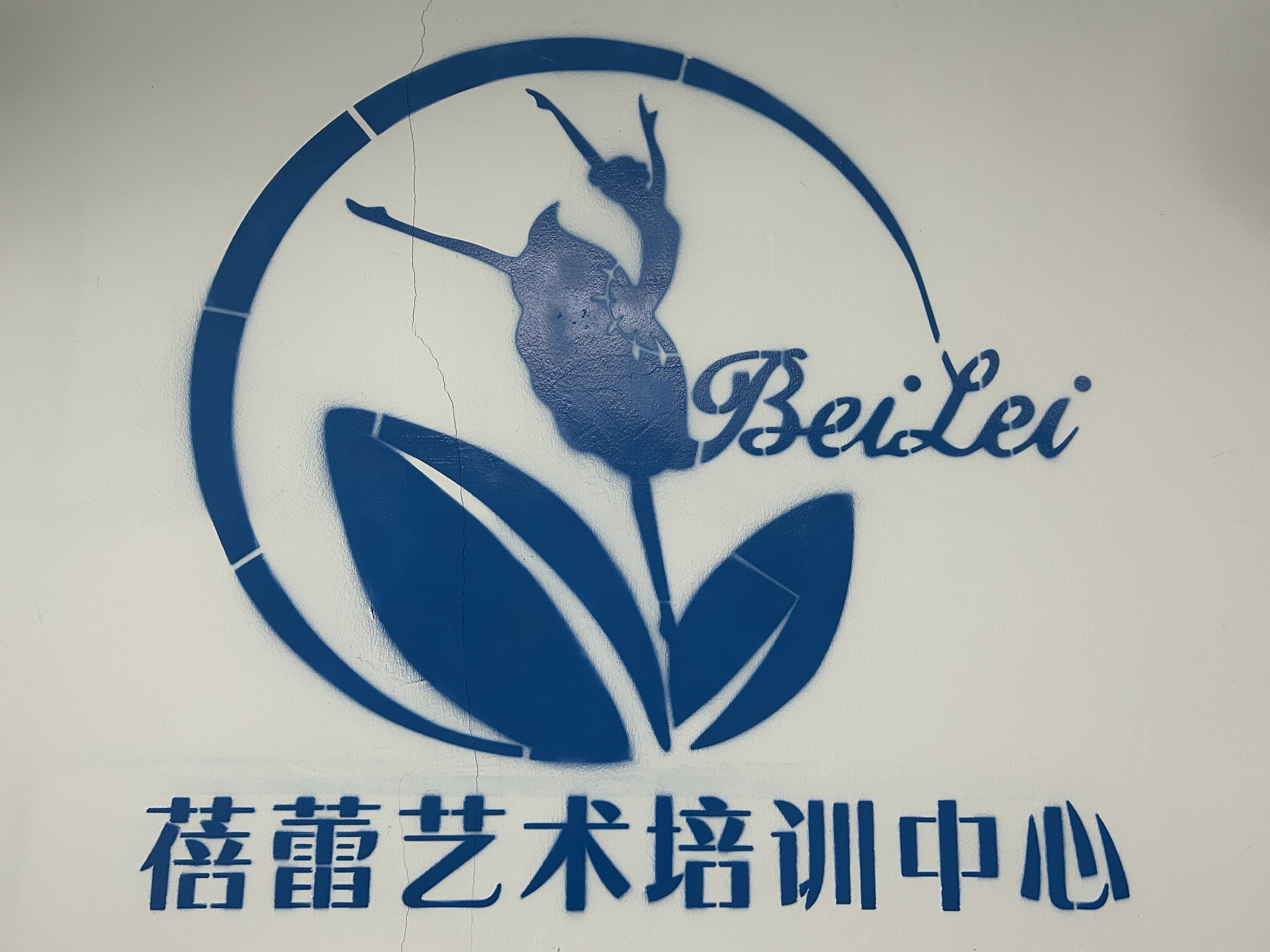 景宁蓓蕾艺术培训有限公司