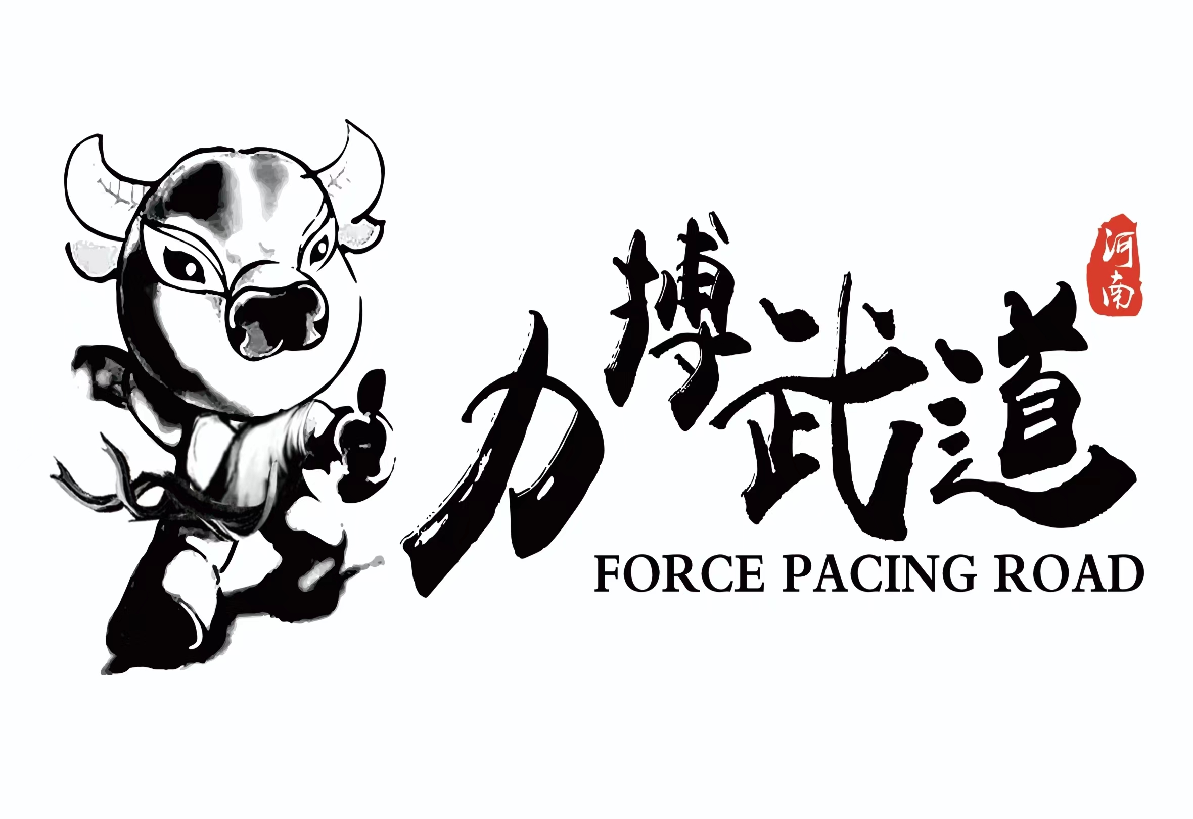 鹤壁市力搏跆拳道培训学校有限公司