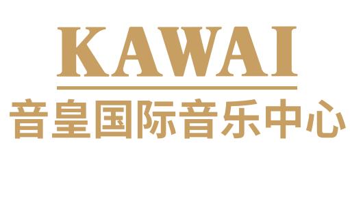 铜陵市铜官区音皇艺术培训中心有限公司