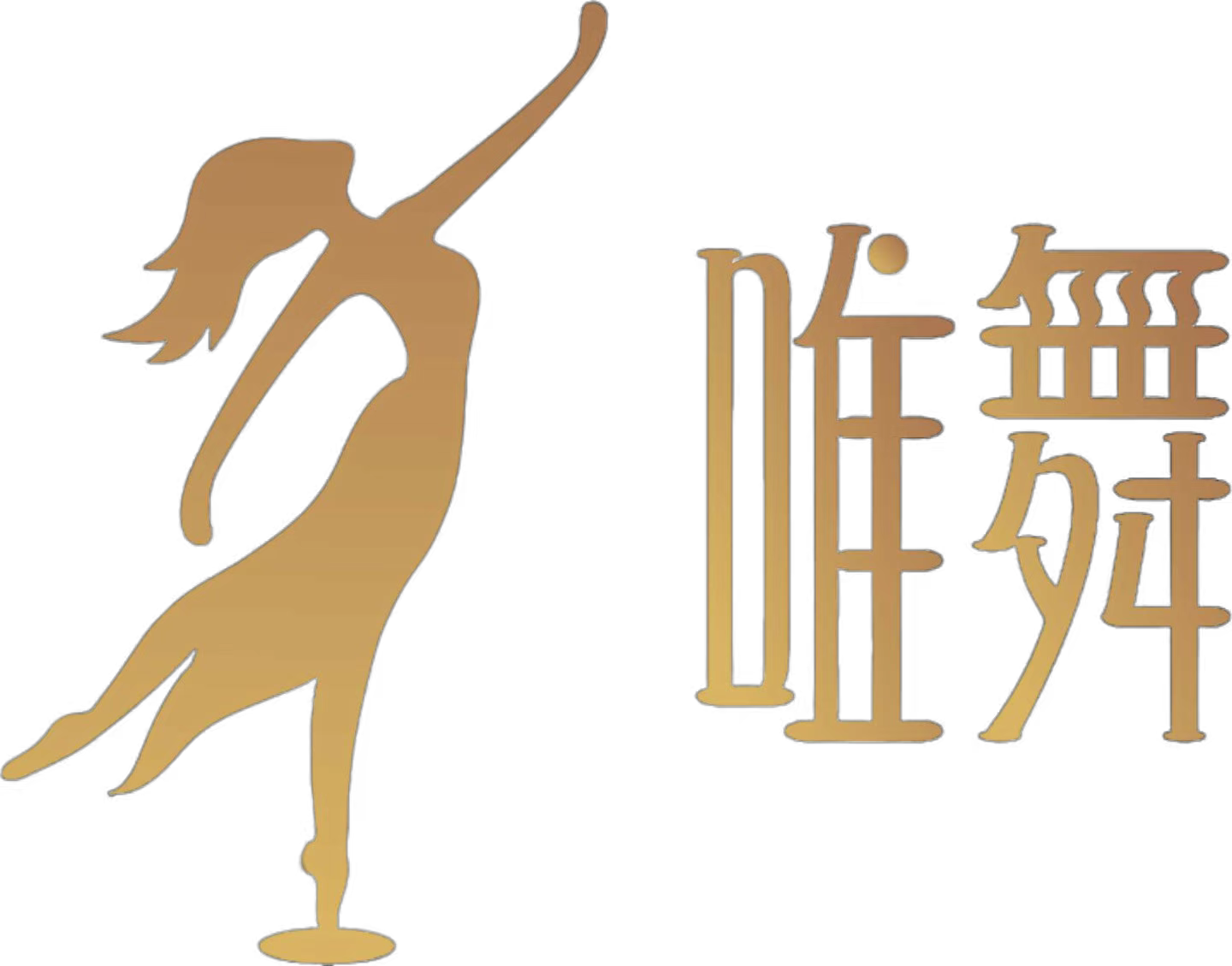 云浮市云城区唯舞创作艺术培训有限公司