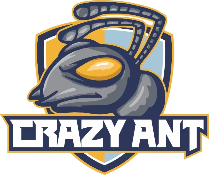 启东市霖蚁体育培训机构有限公司