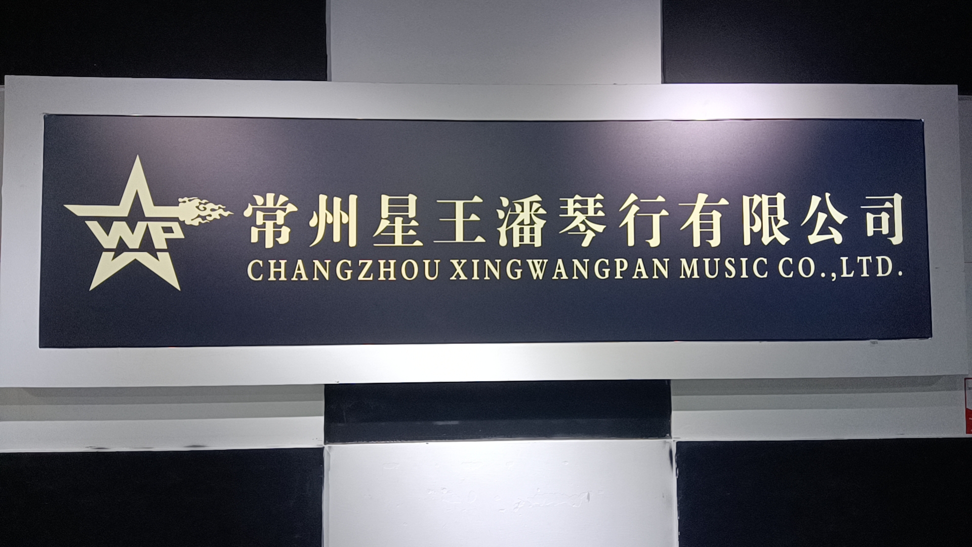 常州星王潘琴行有限公司