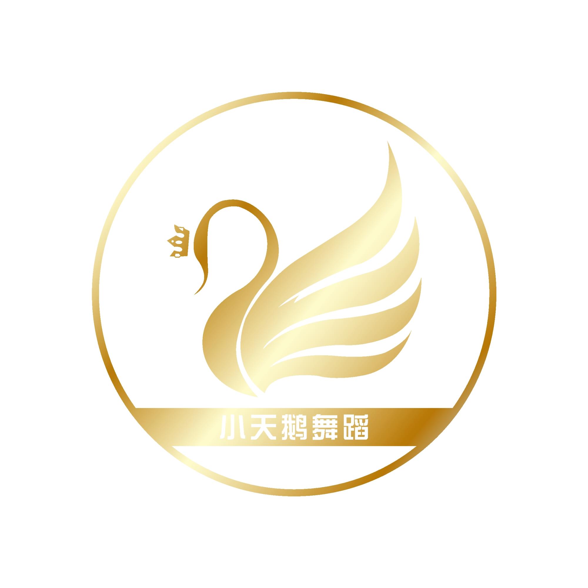 神木市天鹅湖舞蹈培训有限公司