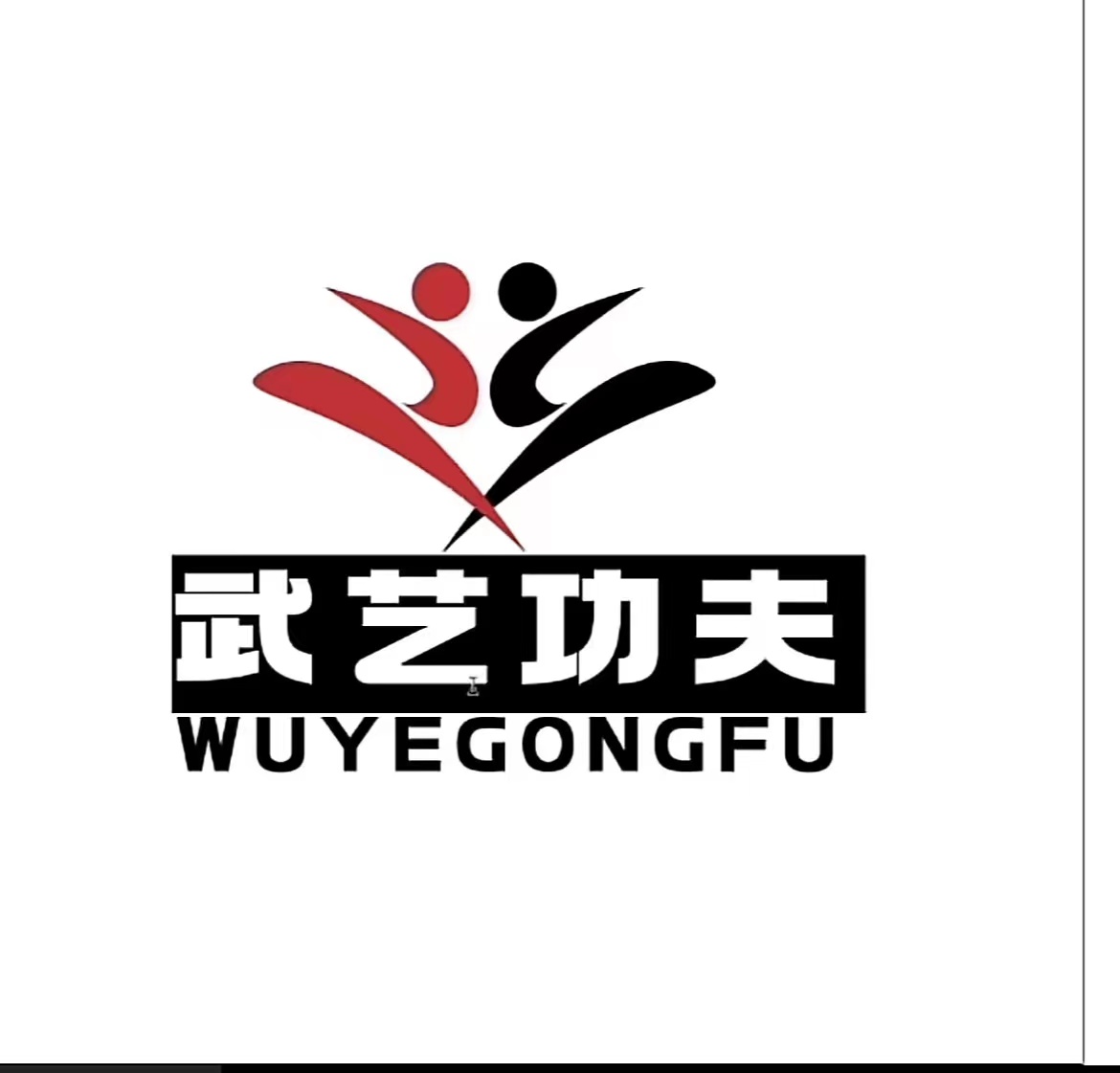 大通武艺体育培训有限公司