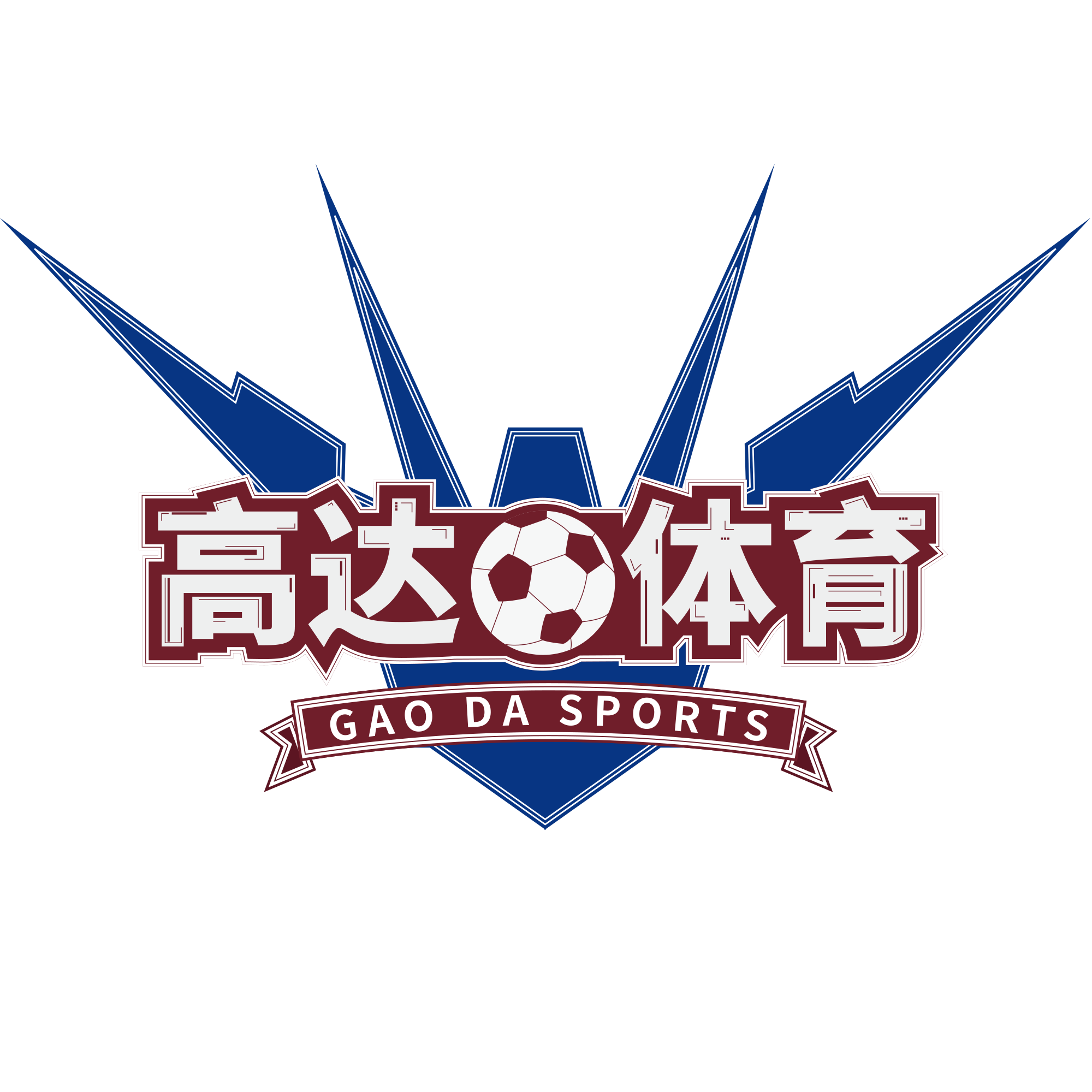 湛江市高达体育培训中心有限公司