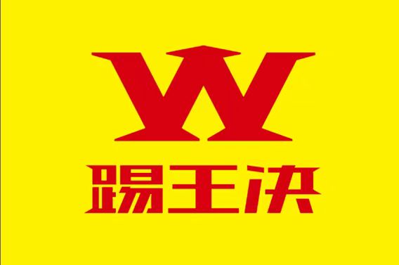 盐城大丰踢王决体育培训有限公司